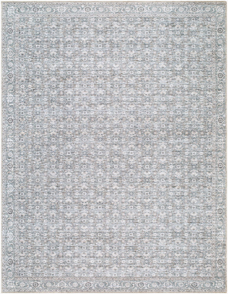 Aureta Machine Woven Rug, by Surya, 2'11.04" length x 2'0.02" width