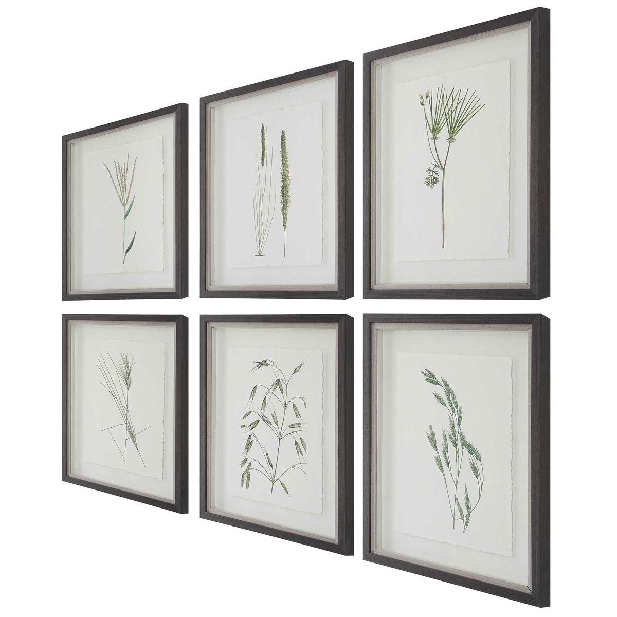Forest Finds Framed Prints Set/6, Art by Uttermost, 18" width x 22" height x 1.75" depth View 7