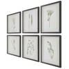 Forest Finds Framed Prints Set/6, Art by Uttermost, 18" width x 22" height x 1.75" depth thumbnail 7