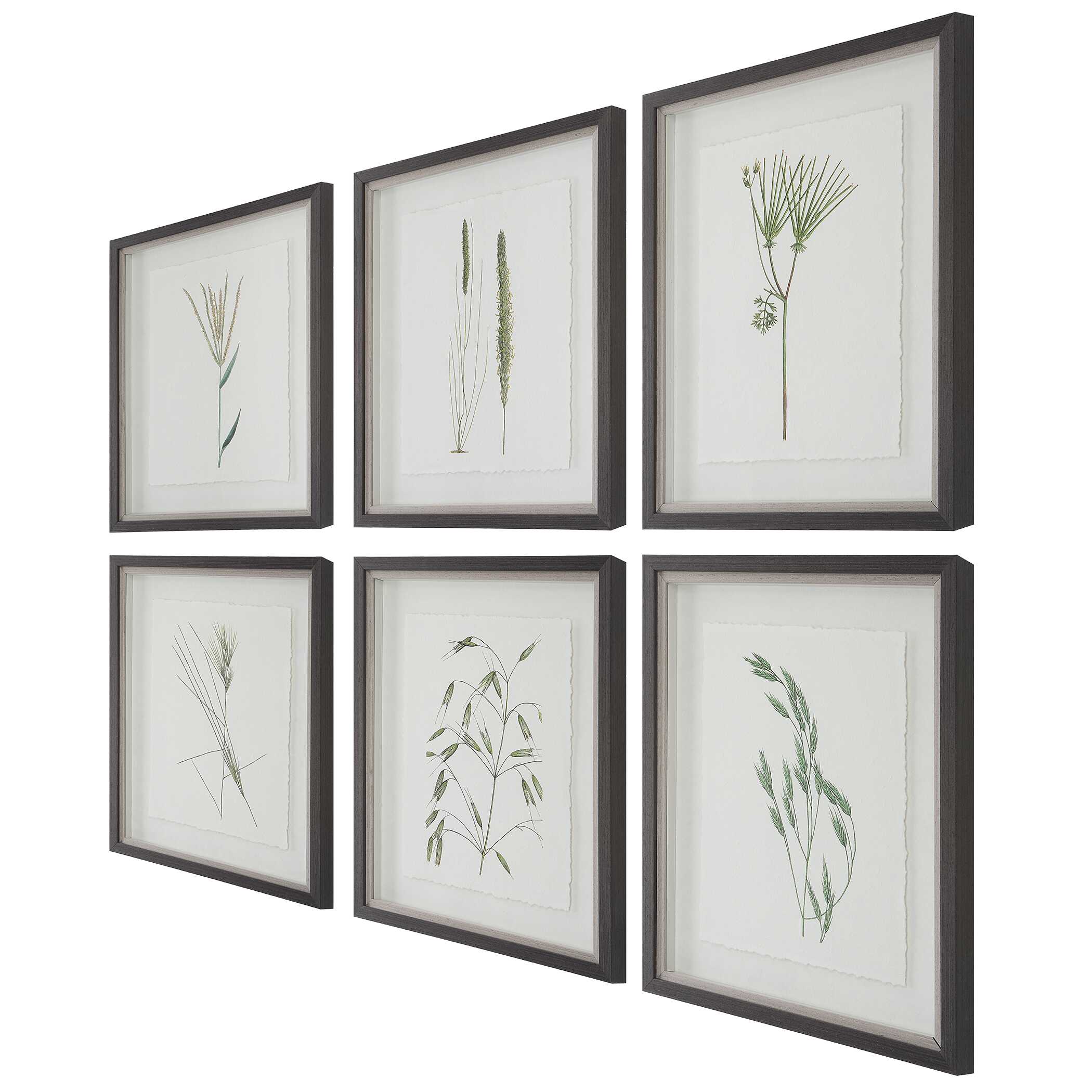 Forest Finds Framed Prints Set/6, Painting by Uttermost, 18" width x 22" height x 1.75" depth View 7