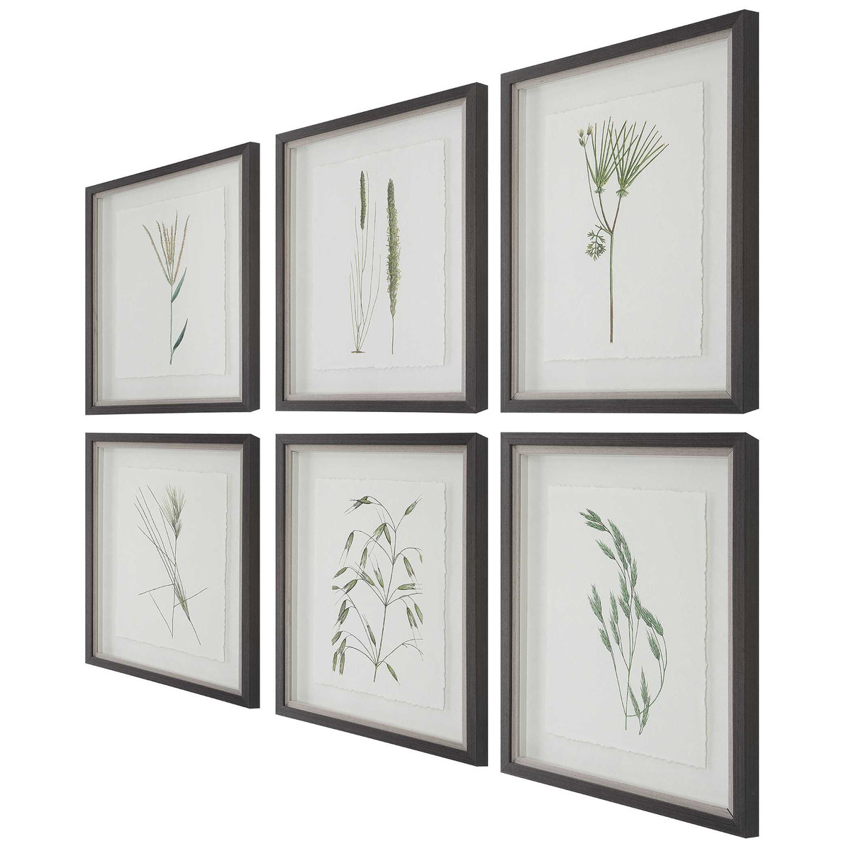 Forest Finds Framed Prints Set/6, by Uttermost, 1'6" width x 1'10" height x 1.75" depth View 7