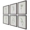 Forest Finds Framed Prints Set/6, by Uttermost, 1'6" width x 1'10" height x 1.75" depth thumbnail 7