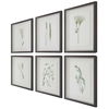 Forest Finds Framed Prints Set/6 6 Forest Finds Framed Prints Set/6 thumbnail 6