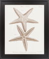 Surya Wall Decor thumbnail 0