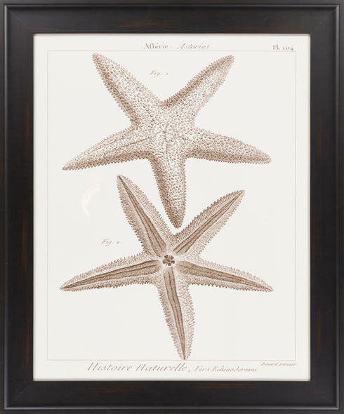 Surya Wall Decor