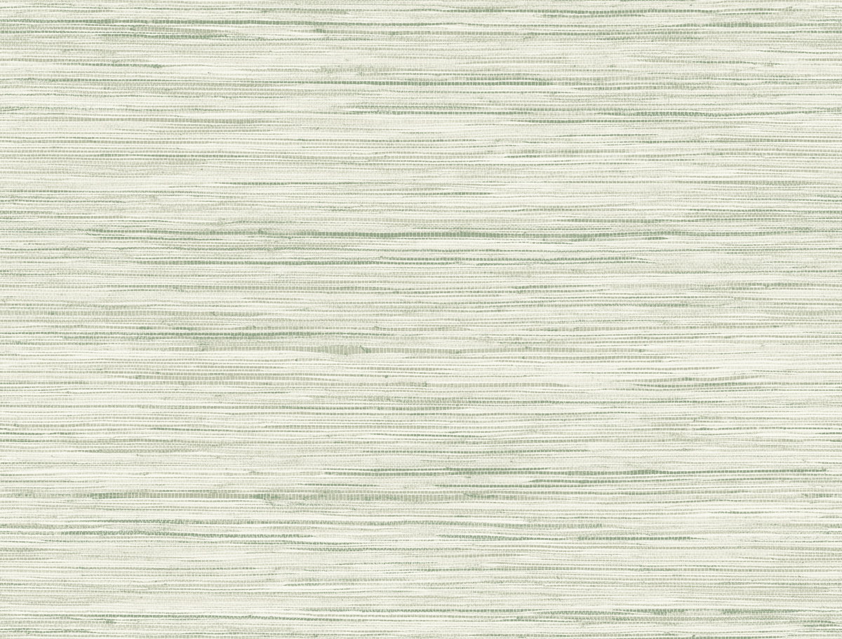 Bahiagrass Green Wallpaper, by York Wall, 27' length x 2'3" width x 0.02" depth