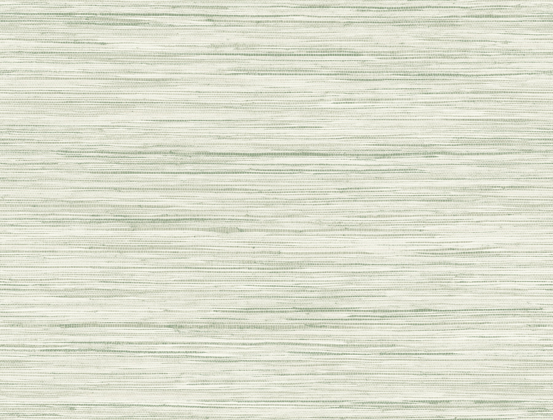 Bahiagrass Green Wallpaper large image 