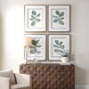 Fiddle Head Leaf Botanical Prints Set/4, Art by Uttermost, 28" width x 34" height x 2.12" depth thumbnail 2