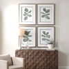 Fiddle Head Leaf Botanical Prints Set/4 thumbnail 1