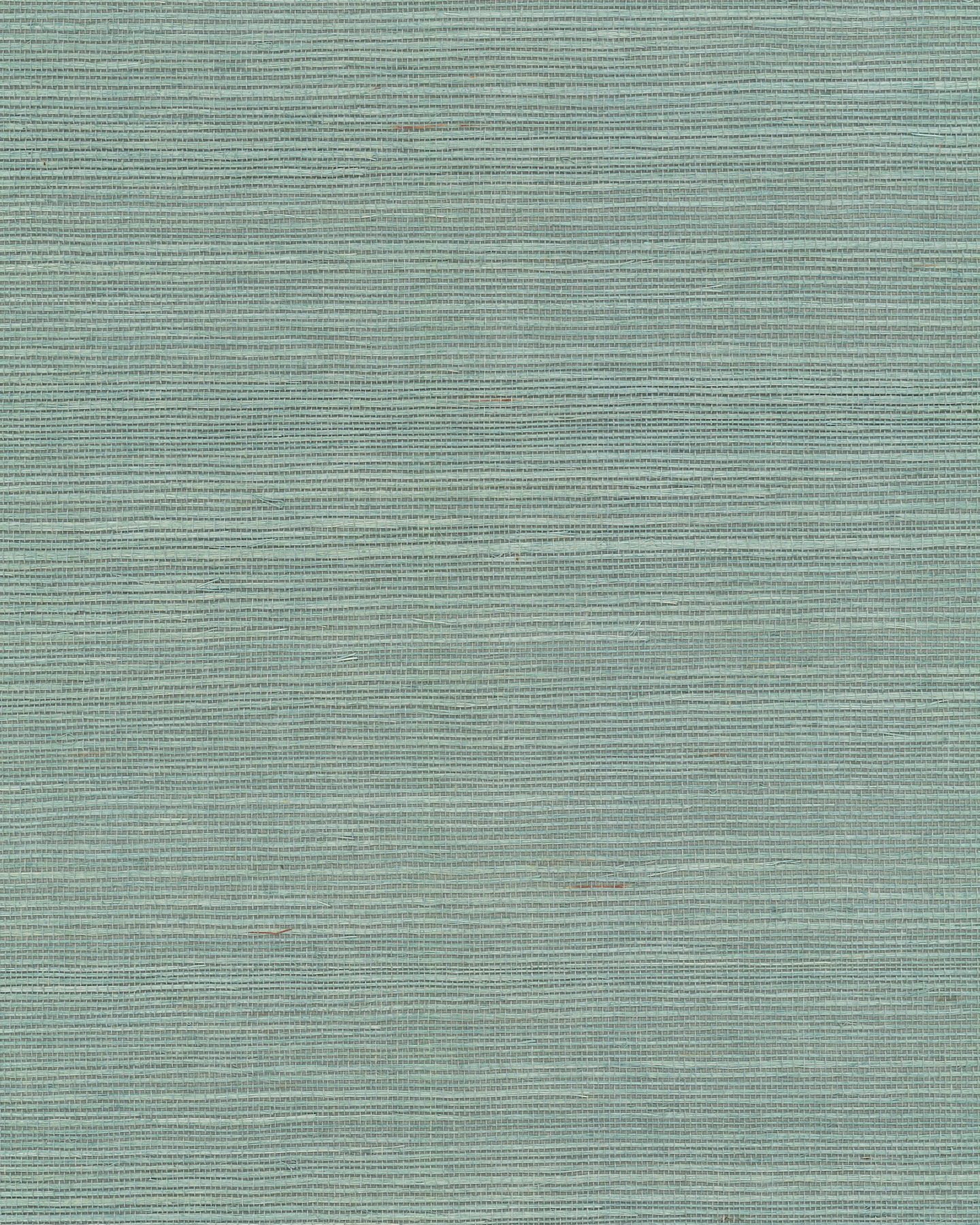 Maguey Sisal Spruce Wallpaper large image 