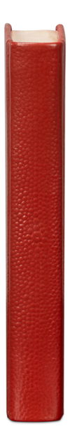Shagreen Books, Set Of 12, Rooibos Tea, Decor by Sarreid, 45848" length x 1" width x 45784" height thumbnail 12