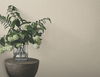 Huri Beige Wallpaper thumbnail 1