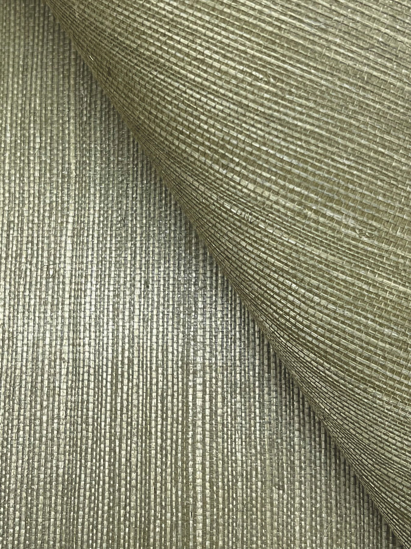 Maguey Sisal Fern Wallpaper large image 