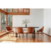 Sedona Dining Chair Amber - Set Of Two thumbnail 11