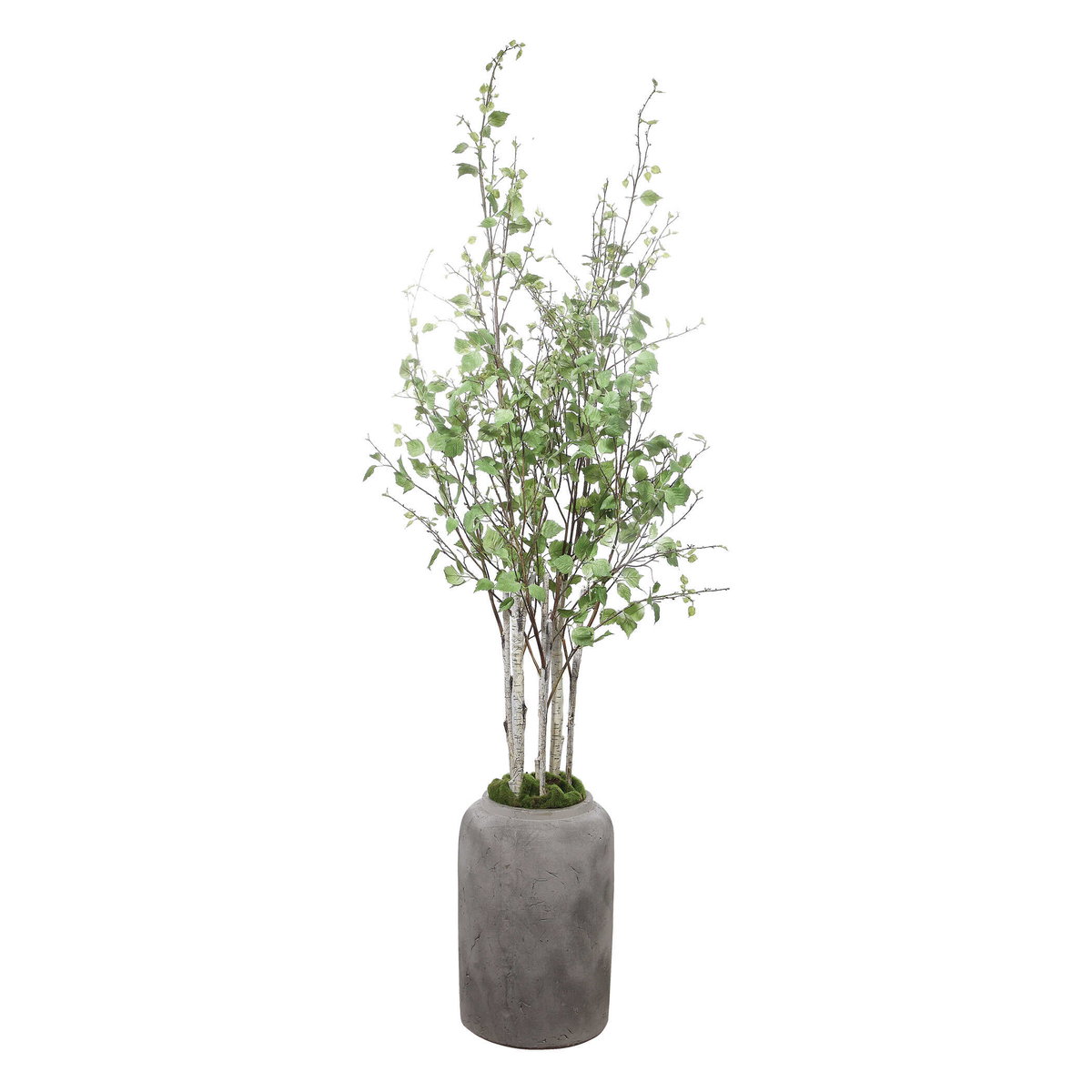 Aldis Potted River Birch, Artificial Plants & Flower by Uttermost, 28" width x 72" height x 28.5" depth View 3