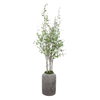 Aldis Potted River Birch, Artificial Plants & Flower by Uttermost, 28" width x 72" height x 28.5" depth thumbnail 3