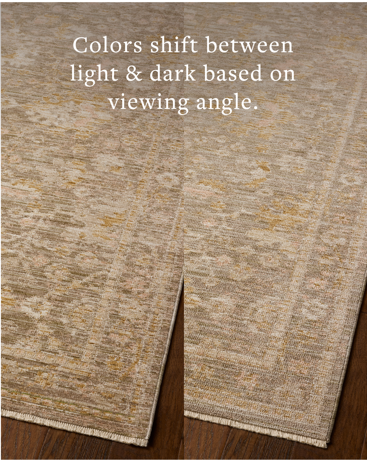 Loloi Elora Rug, 5' length x 7'6" width View 9