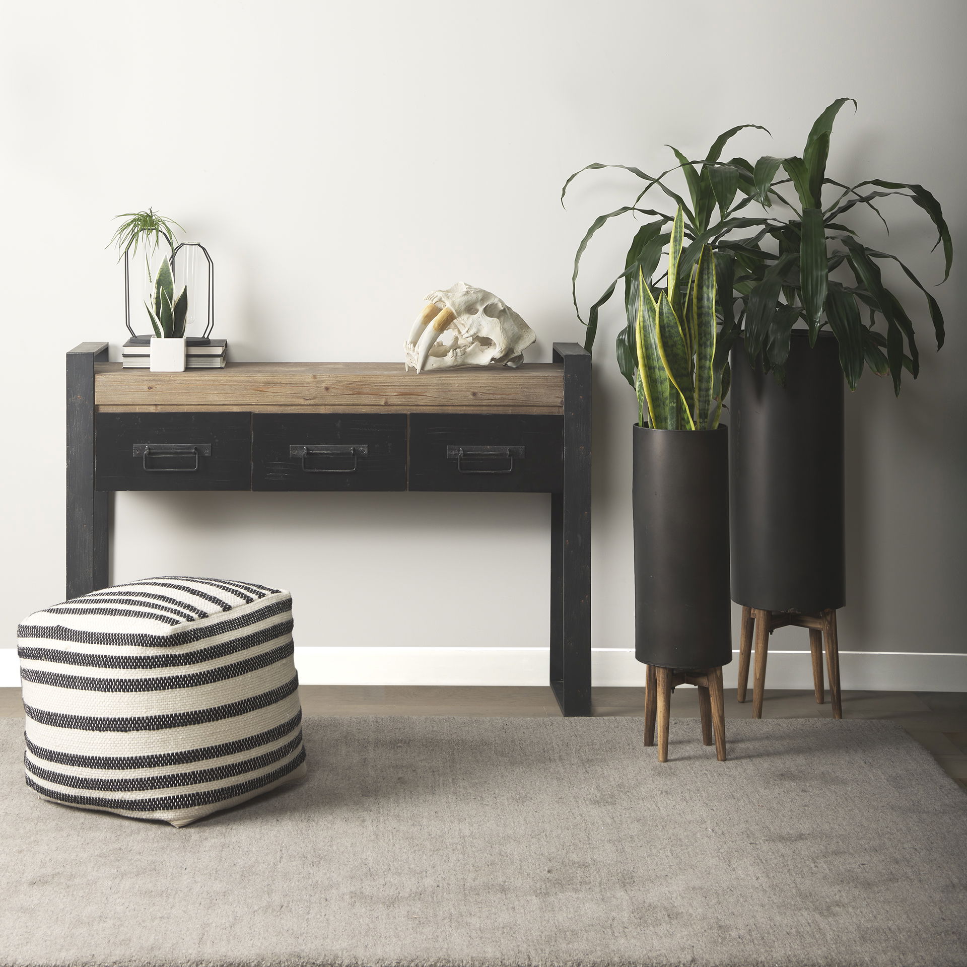 Fozzil 9L x 9W Resin Sabretooth Skull Replica large image 