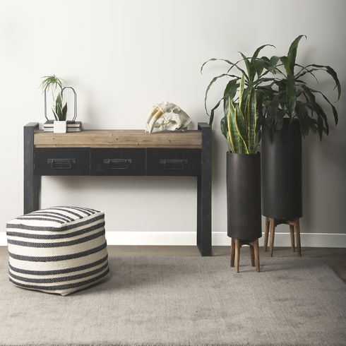 Fozzil 9L x 9W Resin Sabretooth Skull Replica