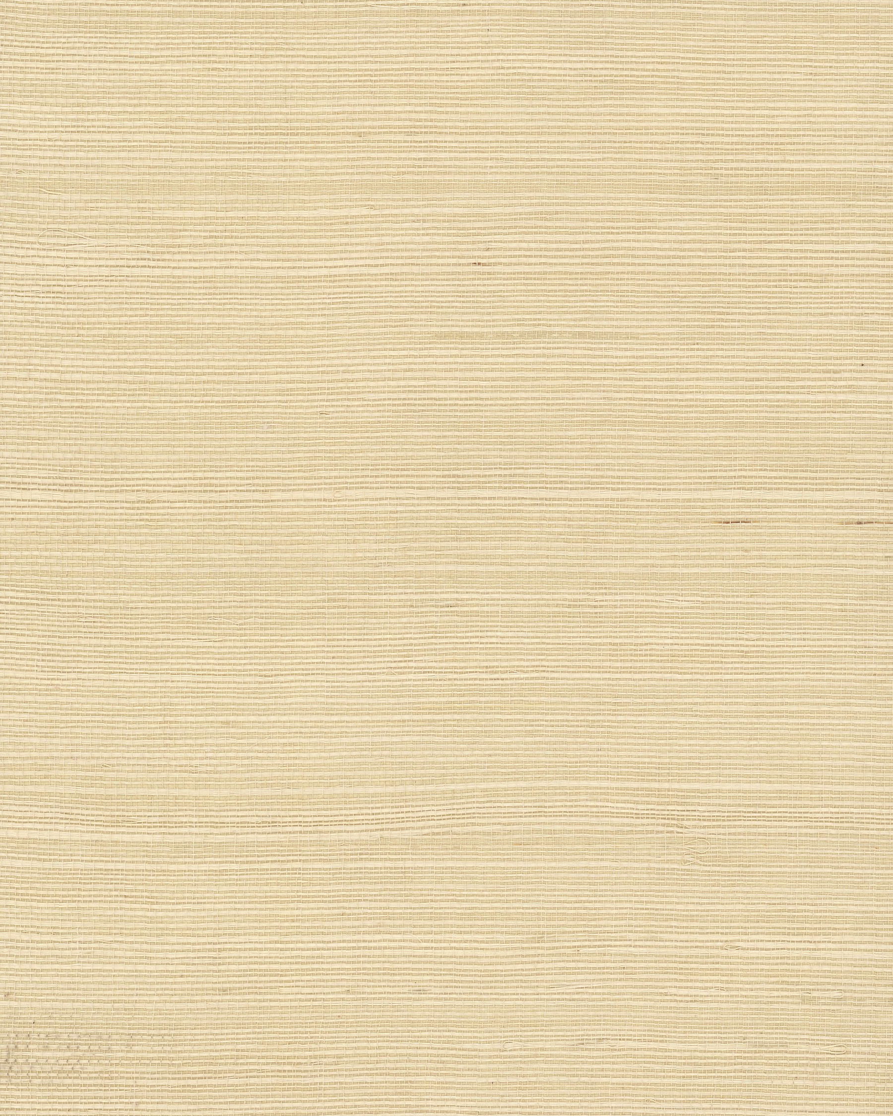 Plain Grass Beige Wallpaper, by York Wall, 24' length x 3' width x 0.02" depth View 1
