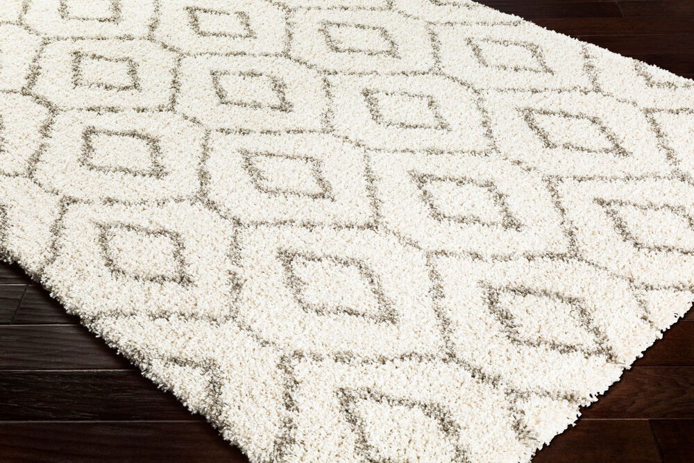 Serengeti Shag Machine Woven Rug large image 