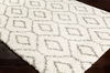 Serengeti Shag Machine Woven Rug thumbnail 0