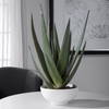 Evarado Aloe Planter, Artificial Plants & Flower by Uttermost, 16.75" width x 28.25" height x 16.75" depth thumbnail 2