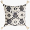 Lenora Accent Pillow, Decorative Pillow by Surya, 20" length x 20" width thumbnail
