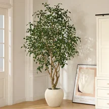 Online Designer Dining Room Adcock 8ft Artificial Ficus Tree with 18in White Planter, Tall Faux Ficus Tree for Outdoor
