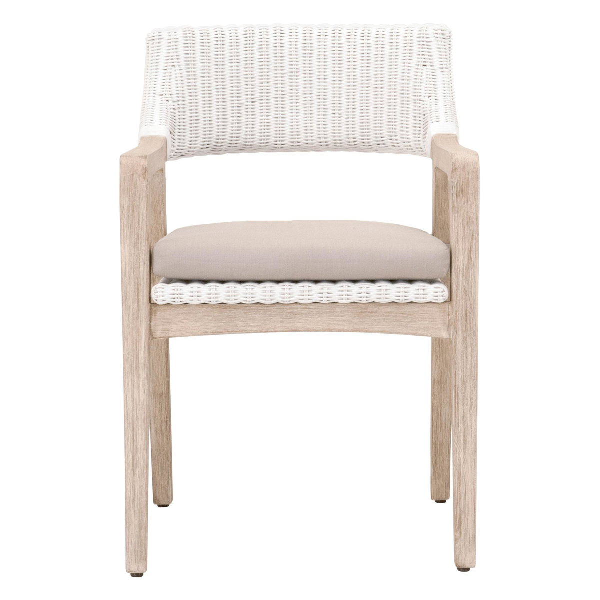 Lucia Arm Chair, Dining Chair by Essentials for Living, 22" width x 31.5" height x 24" depth View 1