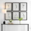 Forest Finds Framed Prints Set/6, Art by Uttermost, 18" width x 22" height x 1.75" depth thumbnail 6