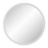 Porpoise Wall Mirror, by Renwil, 36" height x 1.5" depth thumbnail 1