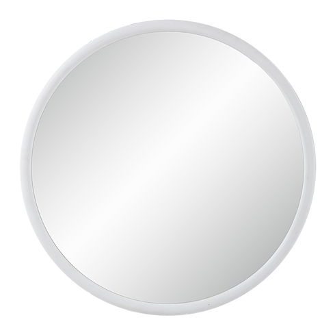 Porpoise Wall Mirror