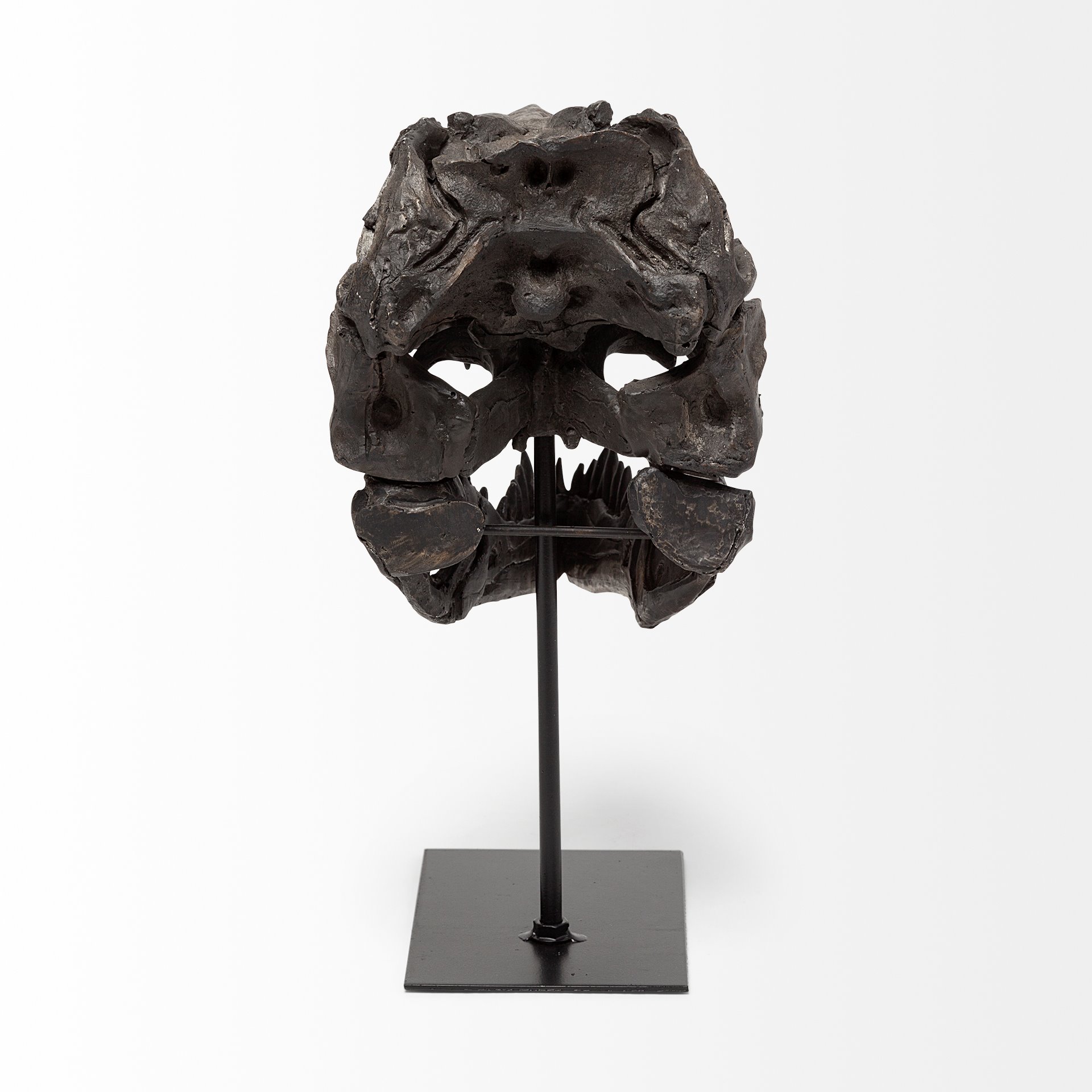 Jurassic 6L x 10W Brown Resin Tyrannosaurus Skull Replica, Decorative Object by Mercana, 6" length x 9.84" width x 11.81" height View 5