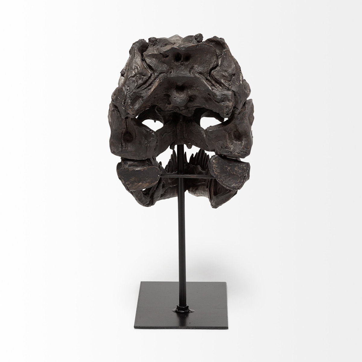 Jurassic 6L x 10W Brown Resin Tyrannosaurus Skull Replica, Decorative Object by Mercana, 6" length x 9.84" width x 11.81" height View 5