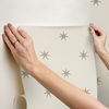 Star Splendor Wicker & Metallic Glint Peel & Stick Wallpaper thumbnail 8