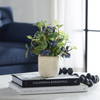 Blueberry Fields Accent, Artificial Plants & Flower by Uttermost, 10" width x 11" height x 10" depth thumbnail 2