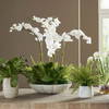 Flourish Orchid Centerpiece, Artificial Plants & Flower by Uttermost, 33" width x 36" height x 33" depth thumbnail 3
