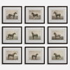Equine Dynasty Framed Prints Set/9, Art by Uttermost, 15.87" width x 13.87" height x 1.5" depth thumbnail 1