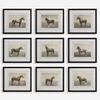 Equine Dynasty Framed Prints Set/9 0 Equine Dynasty Framed Prints Set/9 thumbnail 0