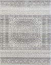 Harput Machine Woven Rug thumbnail 0