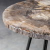 Mircea Petrified Wood Accent Table, Furniture by Uttermost, 16" width x 20" height x 16" depth thumbnail 9