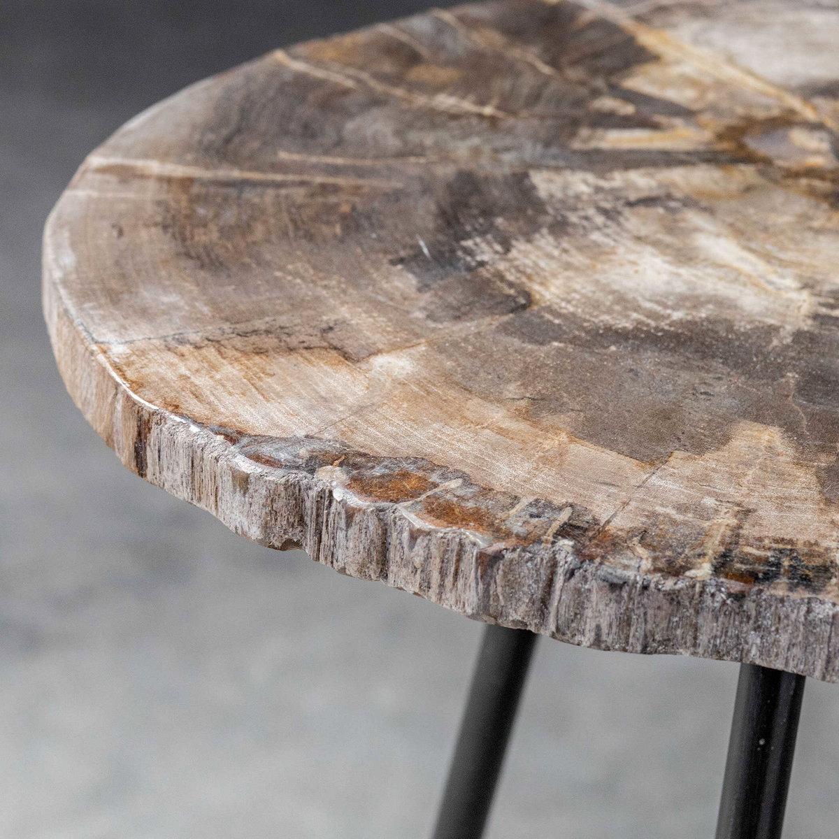 Mircea Petrified Wood Accent Table, Side & End Table by Uttermost, 16" width x 20" height x 16" depth View 9