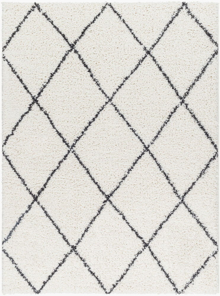 Birmingham Machine Woven Rug large image 