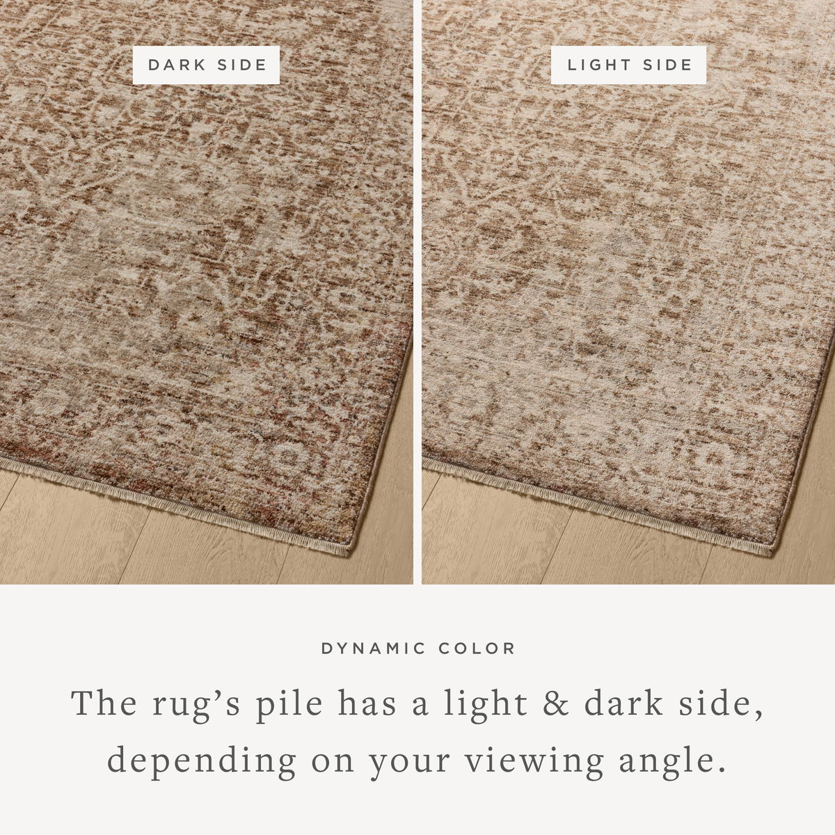 Loloi Newman Rug, 2'7" length x 8' width View 3