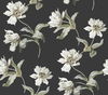 Large Parrot Tulip Black Peel & Stick Wallpaper thumbnail 0