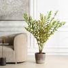 Zamia Palm Accent In Planter, Decorative by Uttermost, 43" width x 57.75" height x 43" depth thumbnail 2