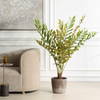 Zamia Palm Accent In Planter, by Uttermost, 43" width x 57.75" height x 43" depth thumbnail 2