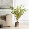 Zamia Palm Accent In Planter, by Uttermost, 43" width x 57.75" height x 43" depth thumbnail 2