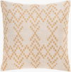 Ryder Accent Pillow, Decorative Pillow by Surya, 20" length x 20" width thumbnail